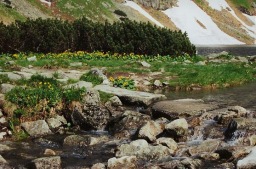 Morskie Oko 11