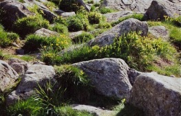Morskie Oko 9